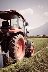 Fototapeta premium Cut out of tractor cultivating field in spring, agriculture