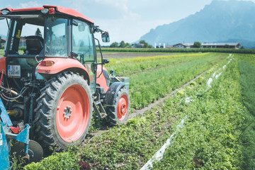 Cut out of tractor cultivating field in spring, agriculture