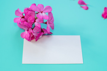 empty card with flowers on a blue background