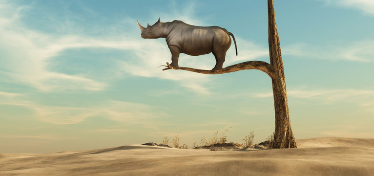 Lonely rhino on tree