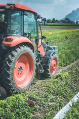 Obraz premium Cut out of tractor cultivating field in spring, agriculture