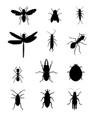 Set of insects collection. insects silhouette . Vector EPS 10.