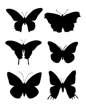 Set of butterfly collection. Butterfly silhouette . Vector EPS 10.