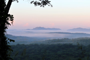 Morning mood with fog - Borneo Malaysia Asia