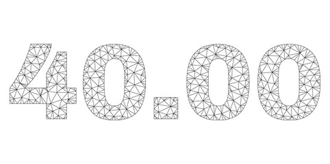 Mesh vector 40.00 text caption. Abstract lines and points are organized into 40.00 black carcass symbols. Linear carcass 2D polygonal mesh in vector format.