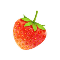 Ripe red strawberry on a white background. Vector
