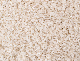 Raw rice background. The form of top.