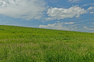 Landschaft bei Erfurt im Frühling