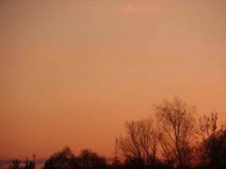 forest on the horizon during sunset against the orange sky