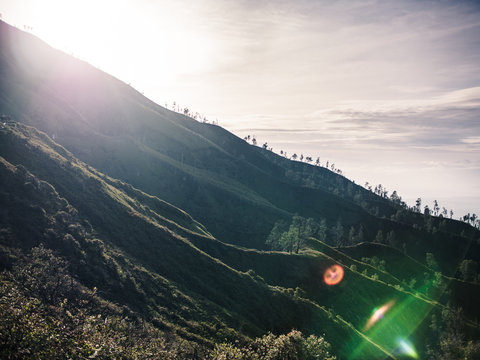 Mountain Side 