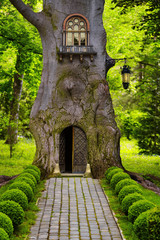 Children's story of life in a tree house in a magical forest