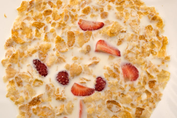 Corn sweet flakes in milk