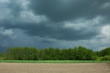 Storm clouds, trees and field