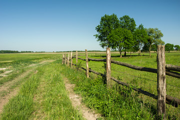 Wooden fence on a green meadow, trees and blue sky