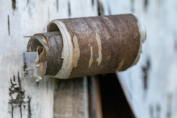 Beresta. The top layer of bark, torn from a birch. Symbol of Russia. Birch bark texture. Russian...