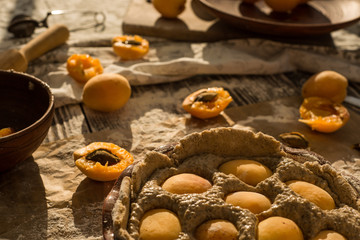 woman in gentle sundress cooking a sweet pie with fresh apricots on a sunny summer day