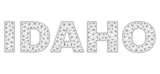 Mesh vector IDAHO text. Abstract lines and circle dots form IDAHO black carcass symbols. Wire carcass flat polygonal mesh in vector EPS format.
