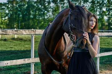 Obraz premium Young slim woman brunette in a black dress on a walk with a dark brown horse. Sunny summer evening. Close-up.