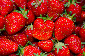 Strawberries in the background