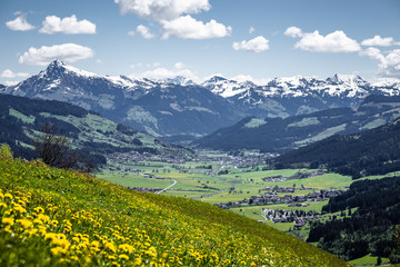 Fototapeta na wymiar Frühling in den Alpen
