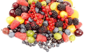 lots of fresh different berries. useful vitamin healthy food