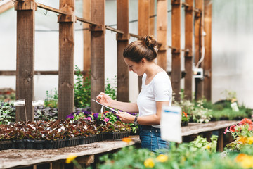 Fototapeta na wymiar Female florist working inside greenhouse. Professional woman gardening in greenhouse