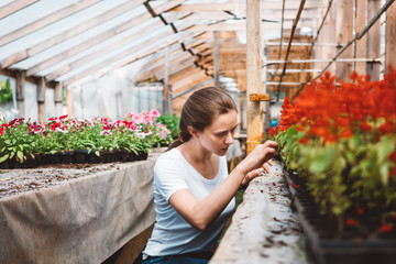 Young woman agronomist inspecting plants in greenhouse. Female gardener working in garden with flowers