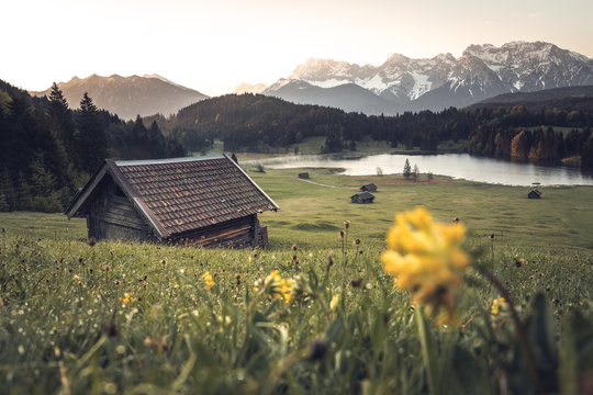 Flowery sunrise at the Geroldsee