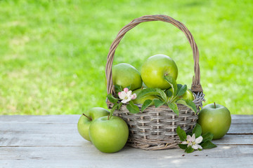 Fresh garden green apples in basket