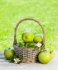 Fresh garden green apples in basket