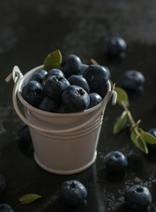 blueberry on the pail morning light, dark photo