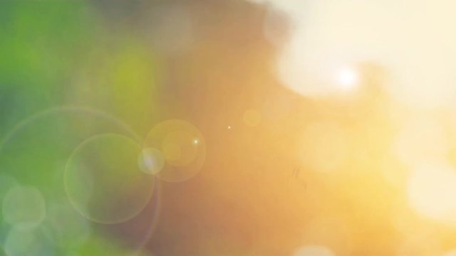 Yellow sunshine on the leaf. Defocused abstract nature background. Royalty high-quality free stock video footage of natural blurred bokeh background from leaf and tree effects bokeh bubble light