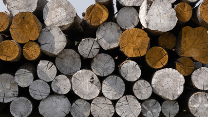 Pile of wooden logs painted white and yellow