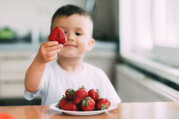 charming child in white t-shirt eating fresh homemade strawberries