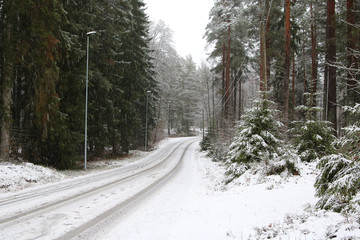 Swedish winter scene road