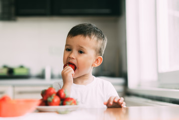 charming child in white t-shirt eating fresh homemade strawberries