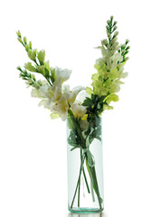 A bouquet of white plastic flowers is placed in a clear glass vase, isolate