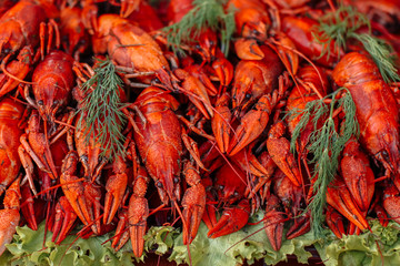 Delicious red crayfish at a street food festival