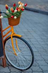 Fototapeta na wymiar Bright orange bike with basket of flowers