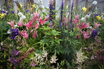 Fototapeta na wymiar Lilies, catchment and grass near mirror wall decorates the garden