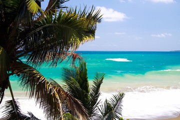 Fototapeta na wymiar View on turquoise coastline near blue lagoon with wave breakers and white foam beyond palm trees - Port Antonio, San San Beach, Jamaica