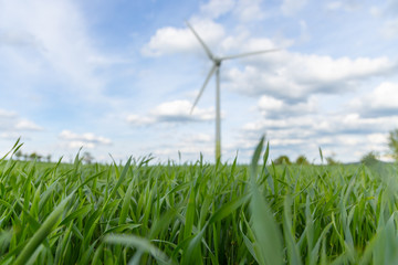 erneuerbare energien naturschutz windrad