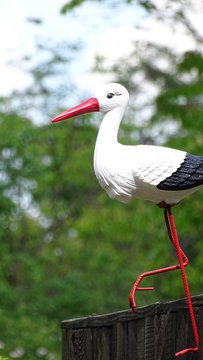 White bird on fence