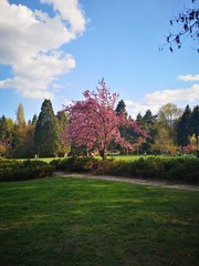 Beautiful park scenery 