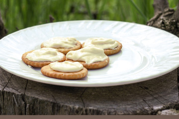 Thin crispy crackers with cream cheese on a white plate on a sunny morning in the woods on a stump. Picnic in nature.