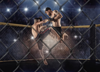 Fototapeta na wymiar MMA boxers fighters fight in fights without rules