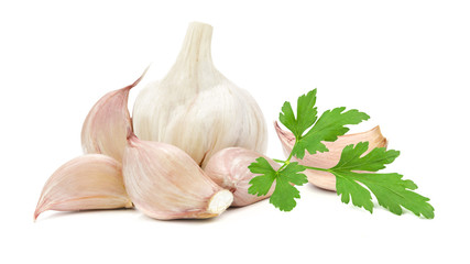 Collection of aromatic spices - garlic and parsley isolated on white background in close-up