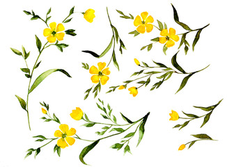 Yellow watercolor flower branches collection isolated