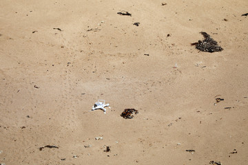 Drohne am Strand