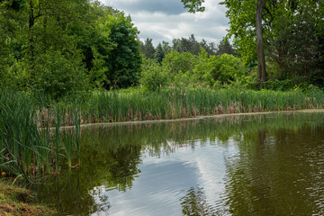 Fototapeta na wymiar Pond on a spring May day.